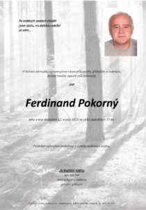 Ferdinand Pokorný